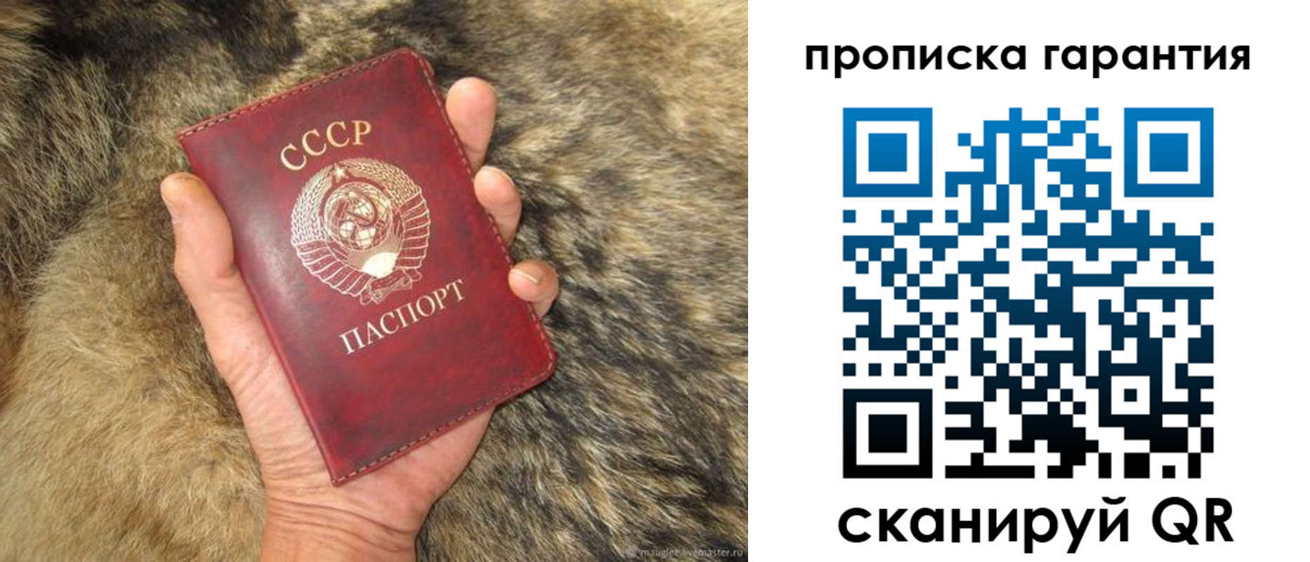 прописка паспорт в Тамбовской области